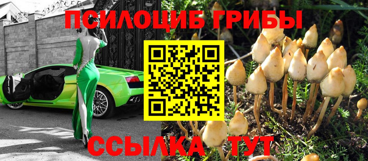 Галлюциногенные грибы MAGIC MUSHROOMS  Вход с VPN  Сорочинск 