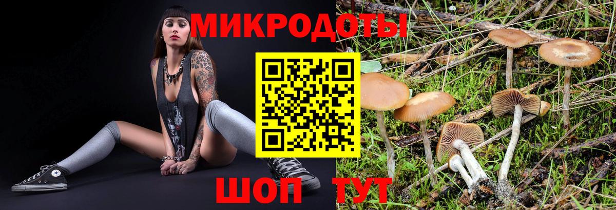 Псилоцибиновые грибы ЛСД Сорочинск